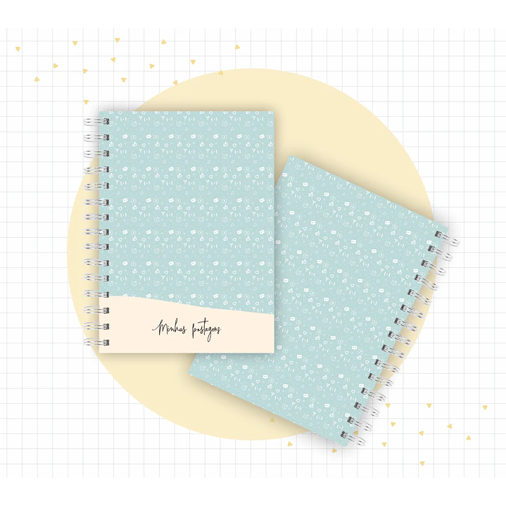 Arquivo Planner Youtuber e Minhas Postagens 2024 em Pdf  1