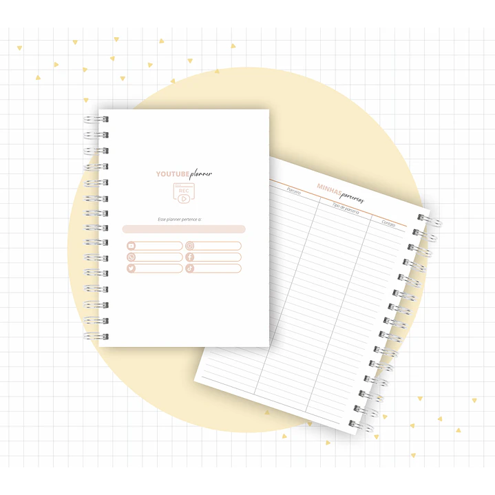 Arquivo Planner Youtuber e Minhas Postagens 2024 em Pdf  9