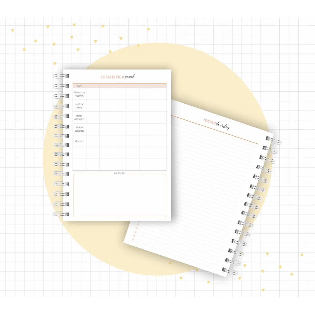 Arquivo Planner Youtuber e Minhas Postagens 2024 em Pdf  10