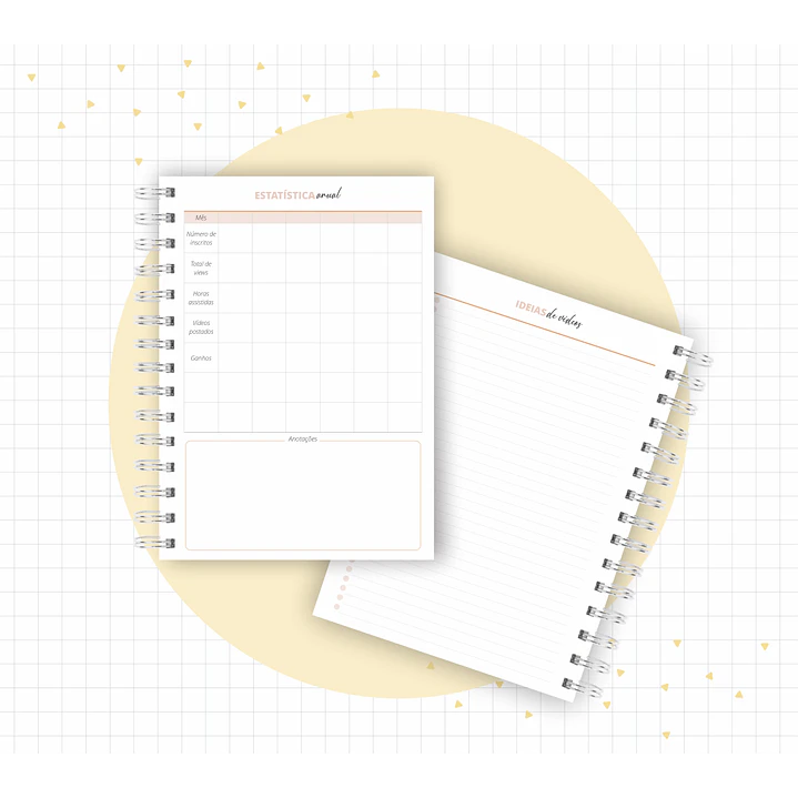 Arquivo Planner Youtuber e Minhas Postagens 2024 em Pdf  10