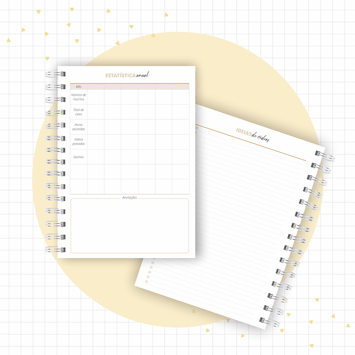 Arquivo Planner Youtuber e Minhas Postagens 2024 em Pdf  10