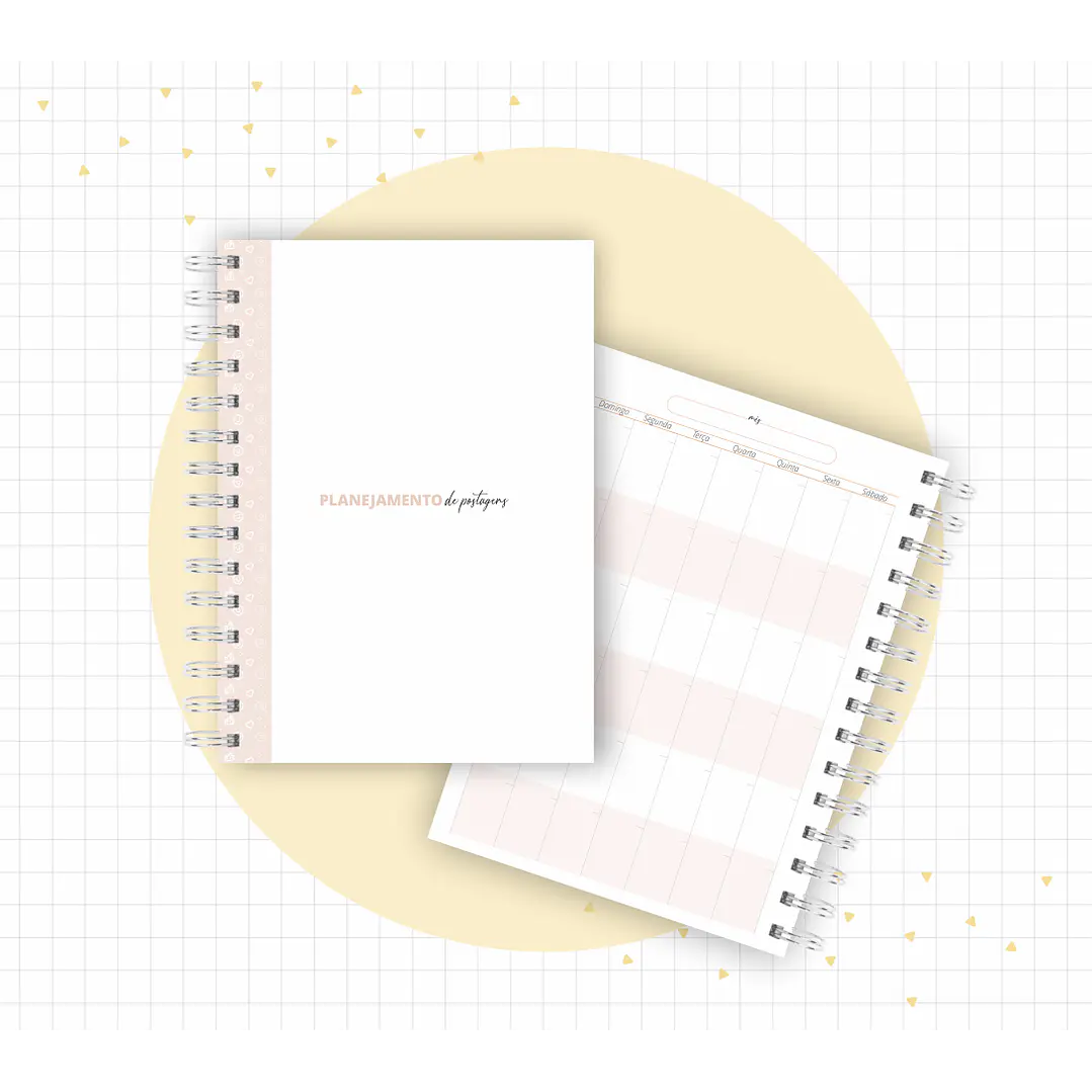 Arquivo Planner Youtuber e Minhas Postagens 2024 em Pdf  11