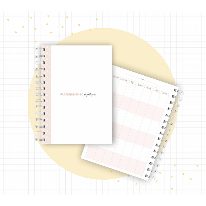 Arquivo Planner Youtuber e Minhas Postagens 2024 em Pdf  11