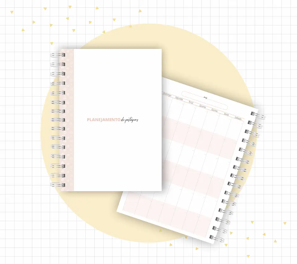 Arquivo Planner Youtuber e Minhas Postagens 2024 em Pdf  11