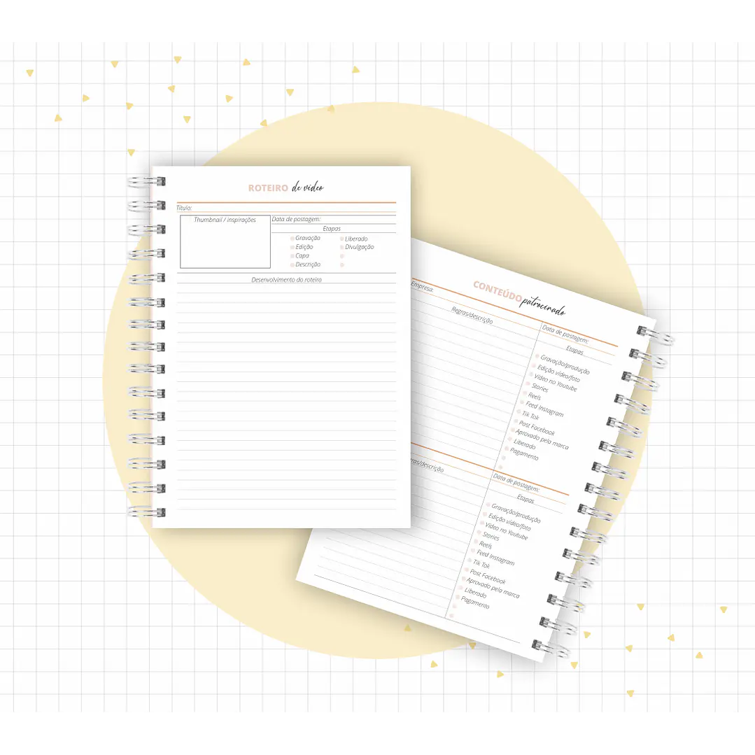 Arquivo Planner Youtuber e Minhas Postagens 2024 em Pdf  12