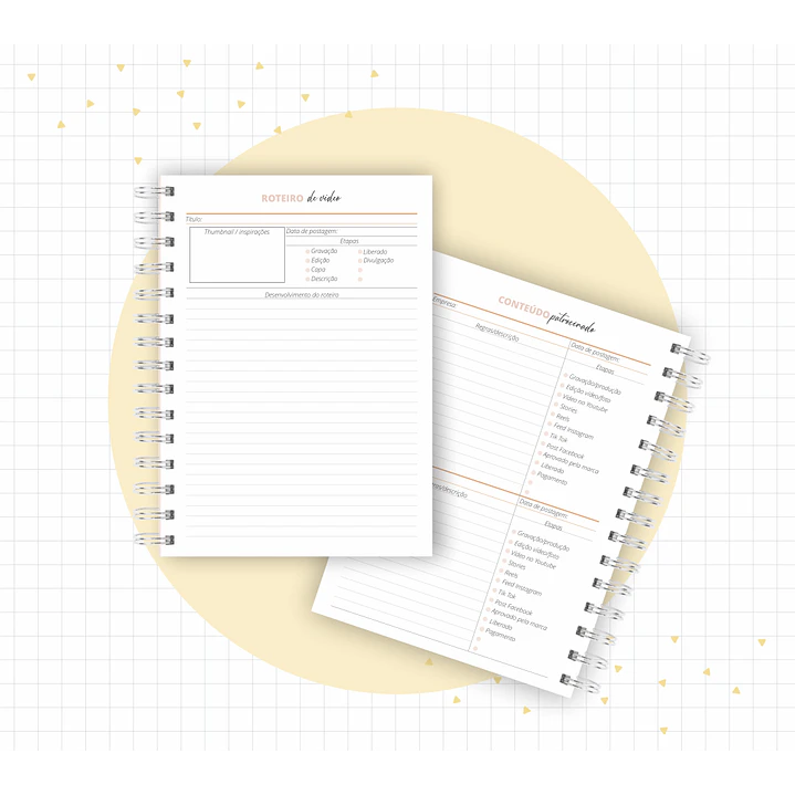 Arquivo Planner Youtuber e Minhas Postagens 2024 em Pdf  12