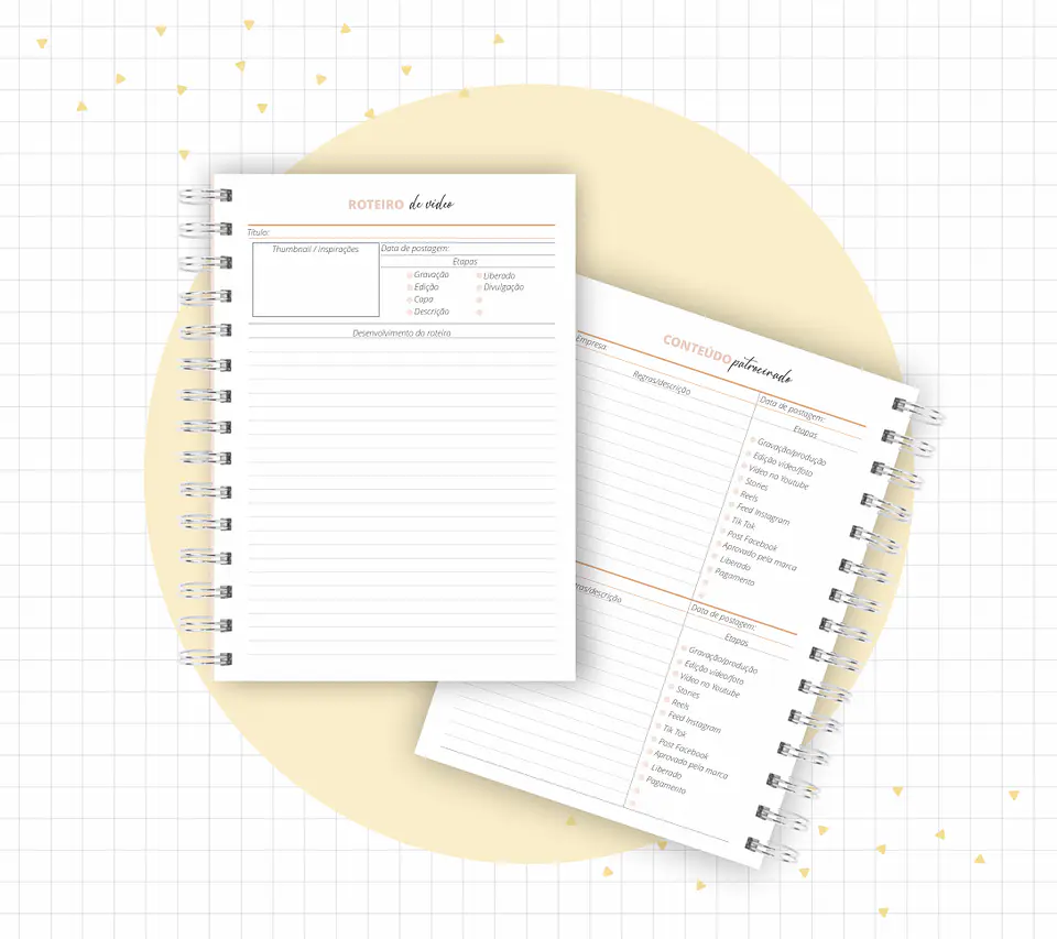 Arquivo Planner Youtuber e Minhas Postagens 2024 em Pdf  12