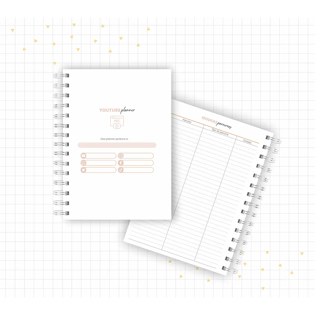 Arquivo Planner Youtuber e Minhas Postagens 2024 em Pdf  13