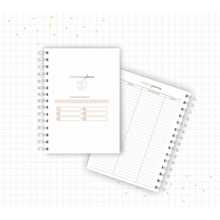 Arquivo Planner Youtuber e Minhas Postagens 2024 em Pdf  13