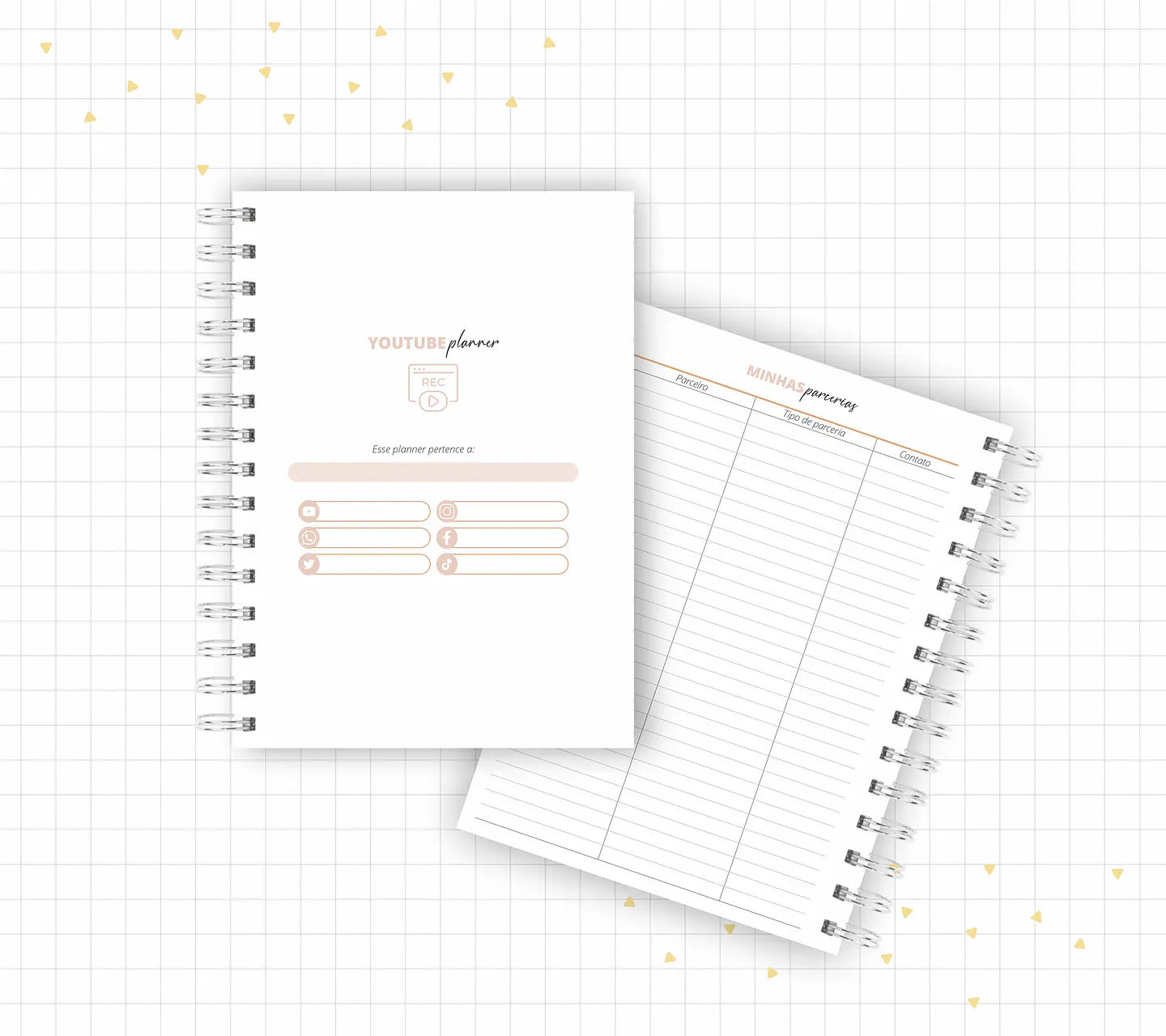 Arquivo Planner Youtuber e Minhas Postagens 2024 em Pdf  13