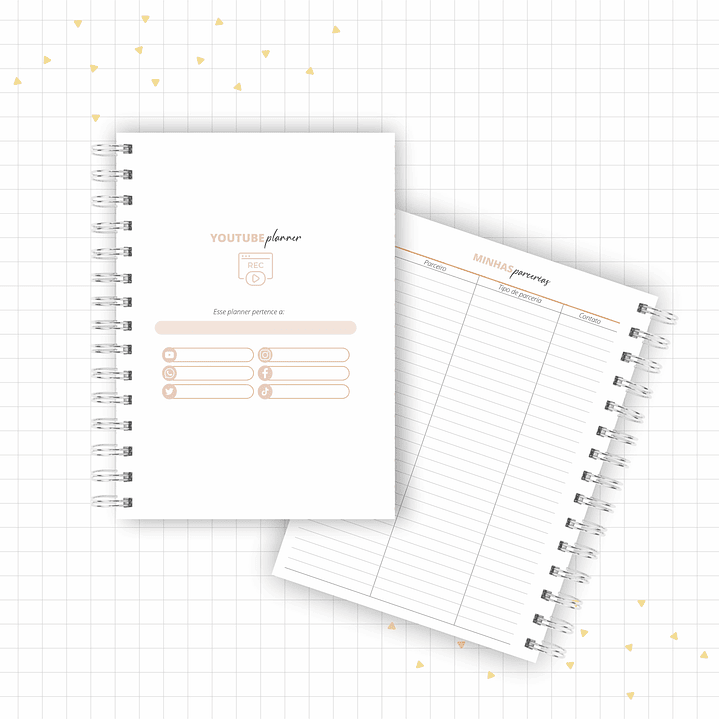Arquivo Planner Youtuber e Minhas Postagens 2024 em Pdf  13
