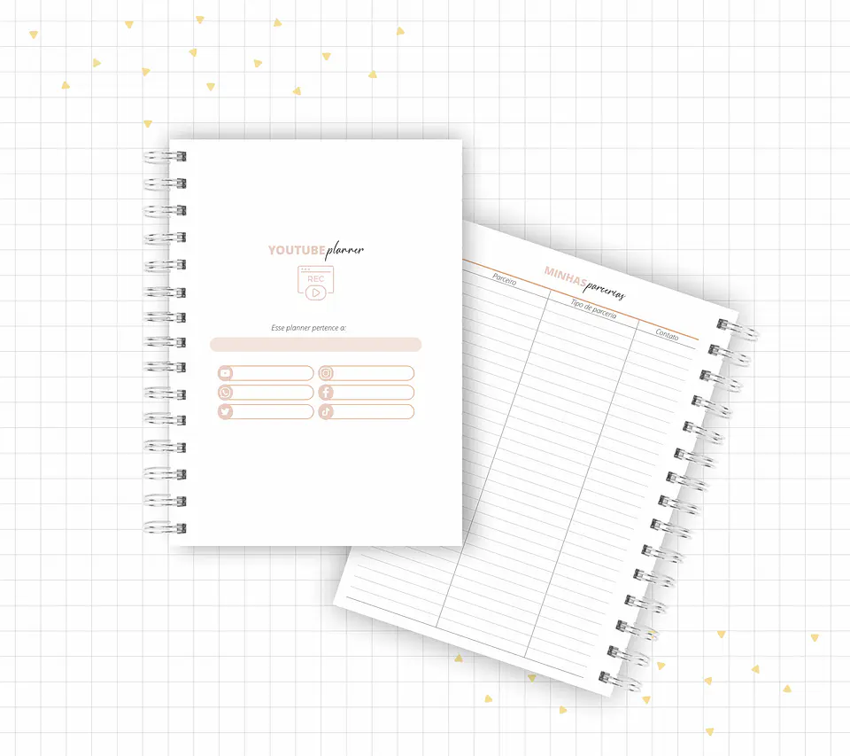 Arquivo Planner Youtuber e Minhas Postagens 2024 em Pdf  13