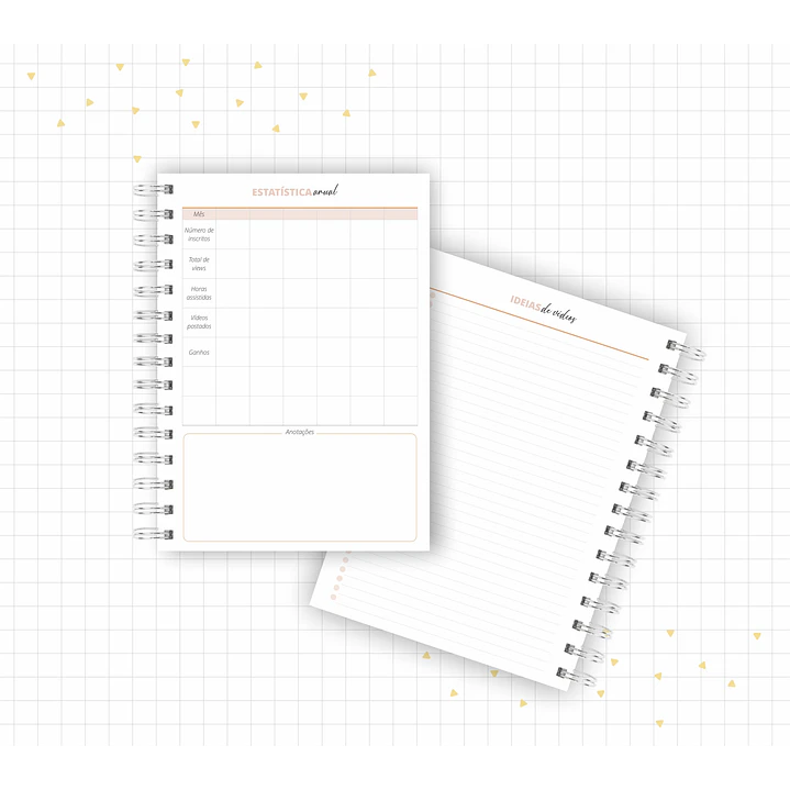 Arquivo Planner Youtuber e Minhas Postagens 2024 em Pdf  14
