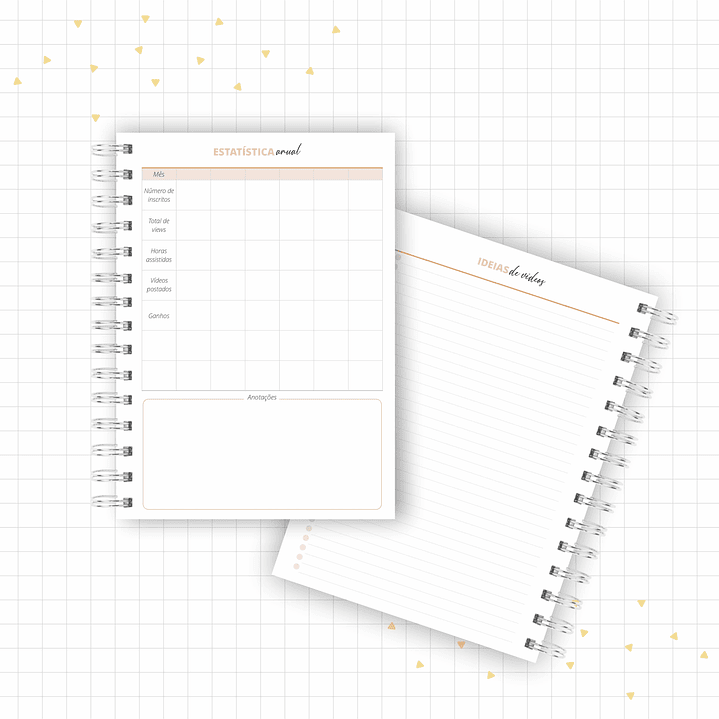 Arquivo Planner Youtuber e Minhas Postagens 2024 em Pdf  14
