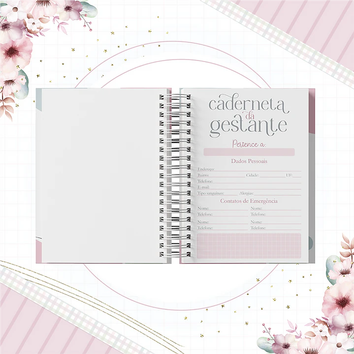 Coleção Agendas Gestantes Completo em Pdf   11