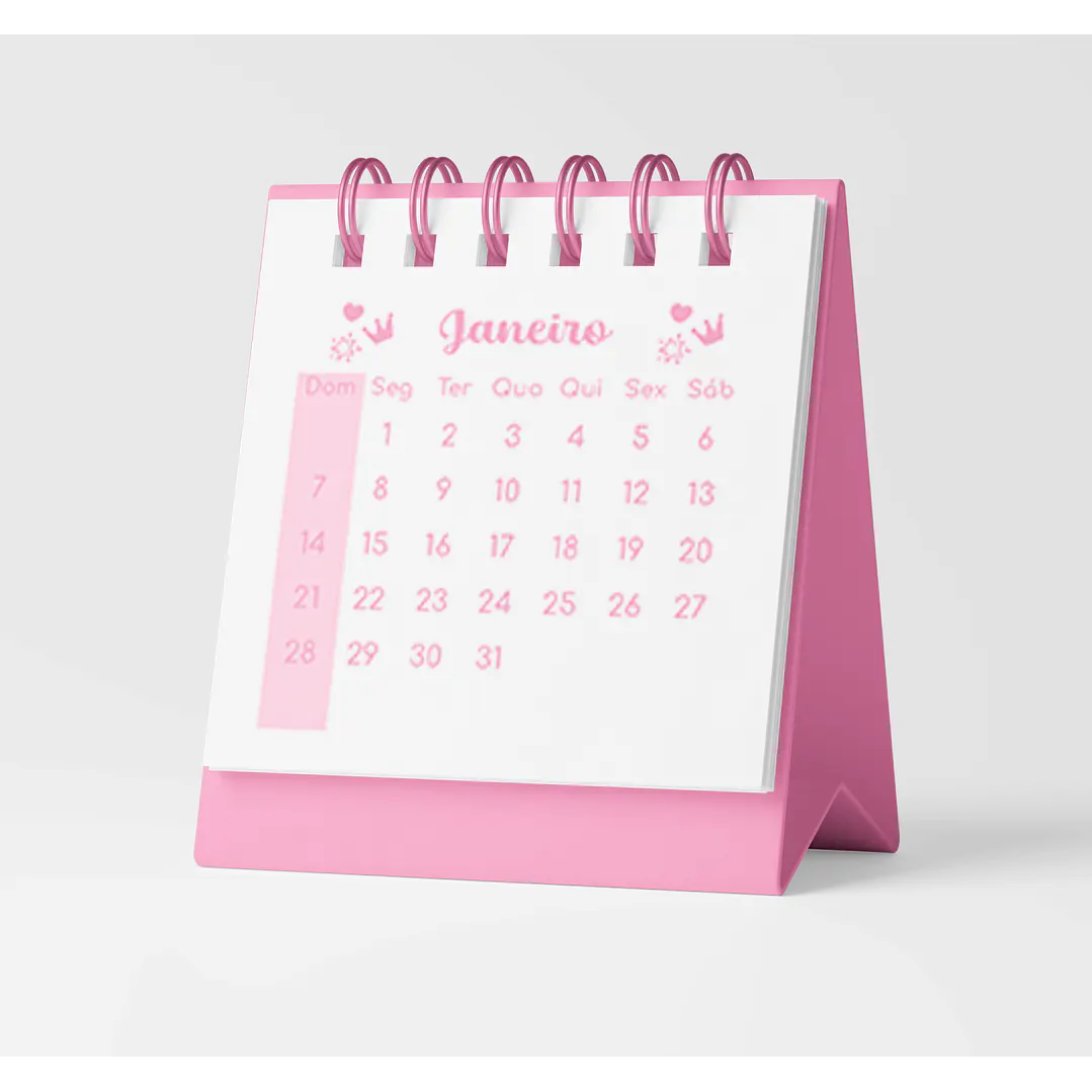 Arquivo Agenda e Caderno Rosa Menina Pink 2024 em Pdf   7