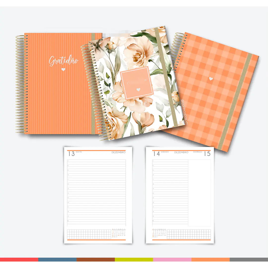 Arquivo Agenda MultiColor 2024 em Pdf  7