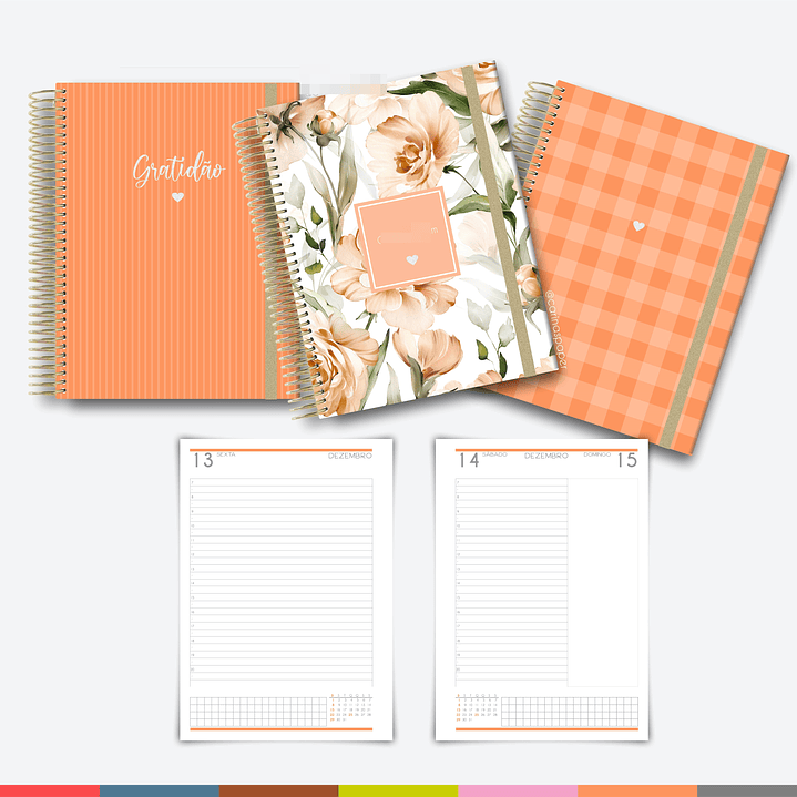 Arquivo Agenda MultiColor 2024 em Pdf  7