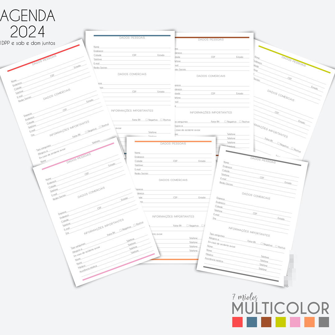Arquivo Agenda MultiColor 2024 em Pdf  8