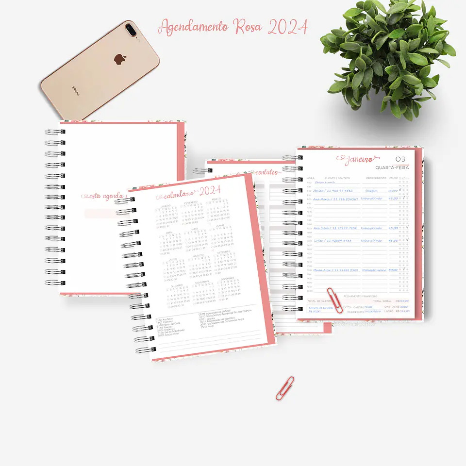 Arquivo Miolo Agenda Agendamento Rosa A5 2024 em Pdf 1
