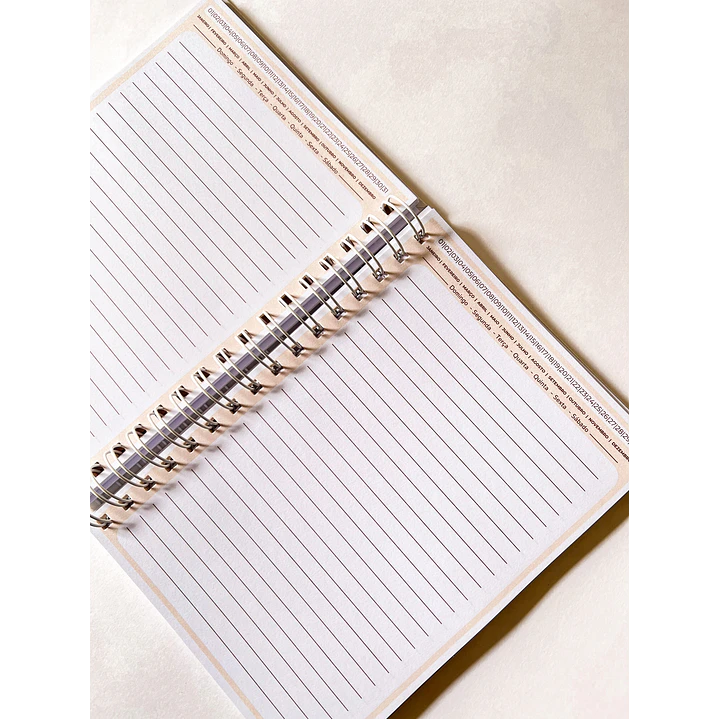 Arquivo Caderno Signos em Pdf 12