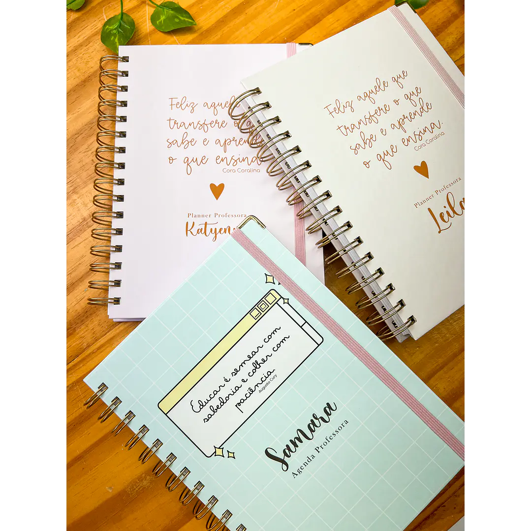Arquivos Agenda Planner Professor + Agenda 02 Dias 2