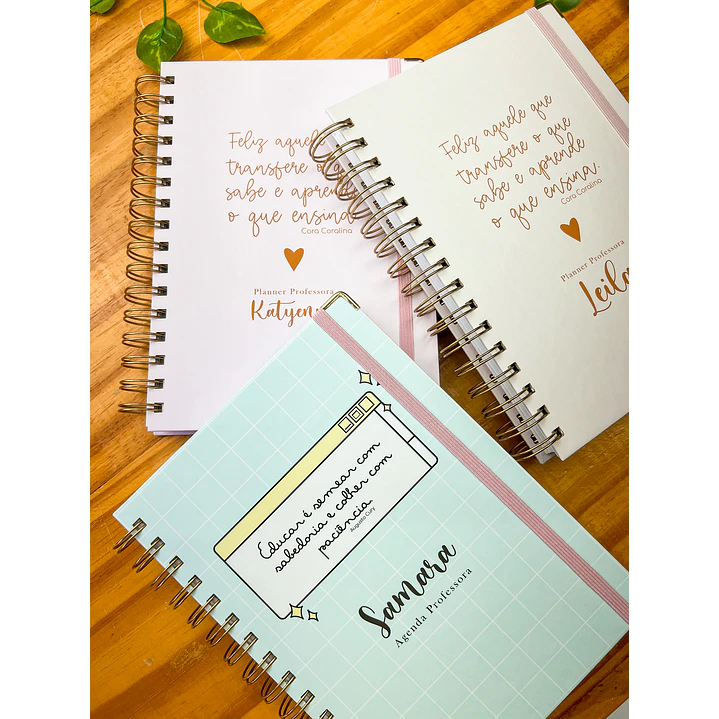 Arquivos Agenda Planner Professor + Agenda 02 Dias 2