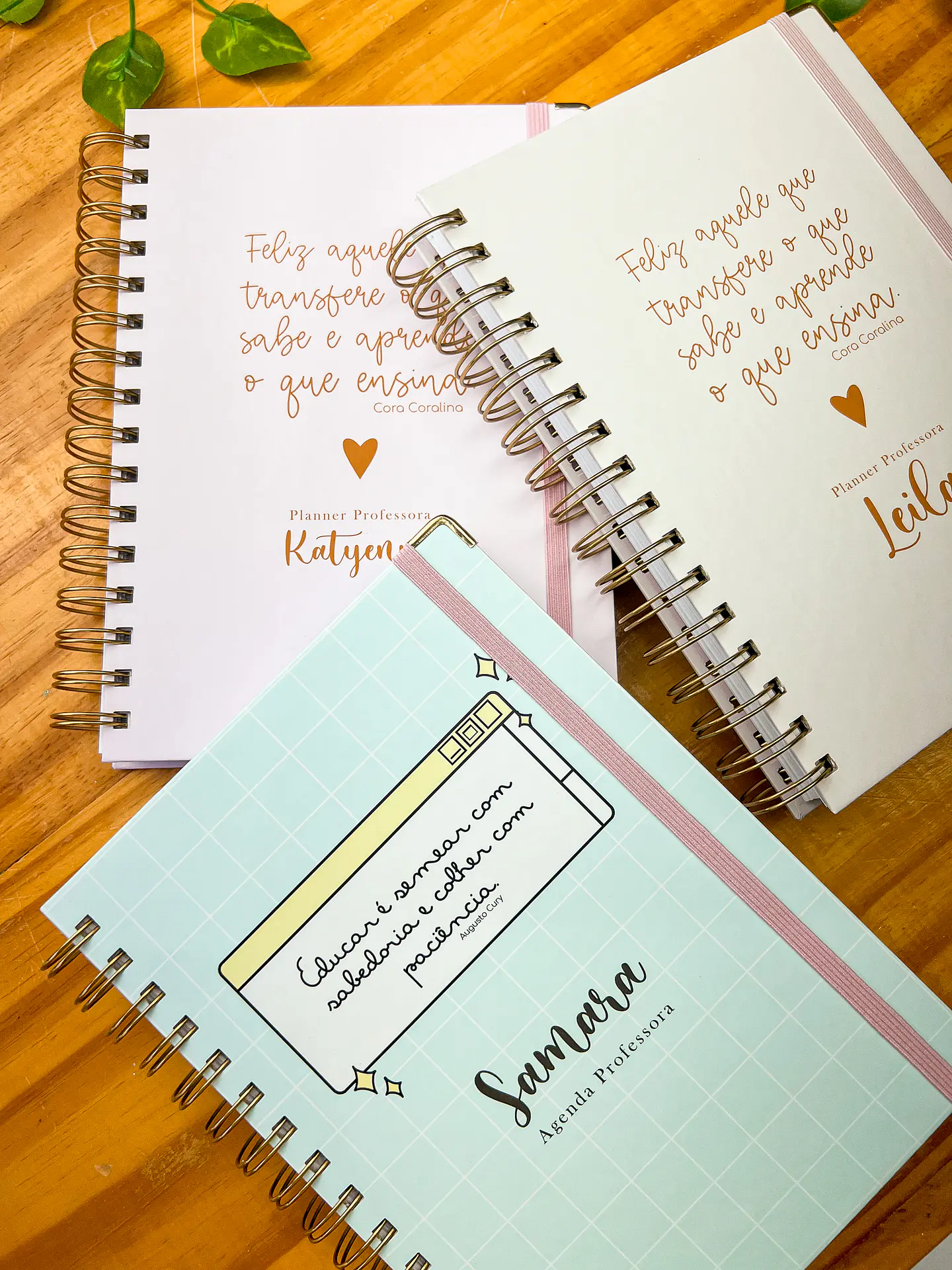 Arquivos Agenda Planner Professor + Agenda 02 Dias 2
