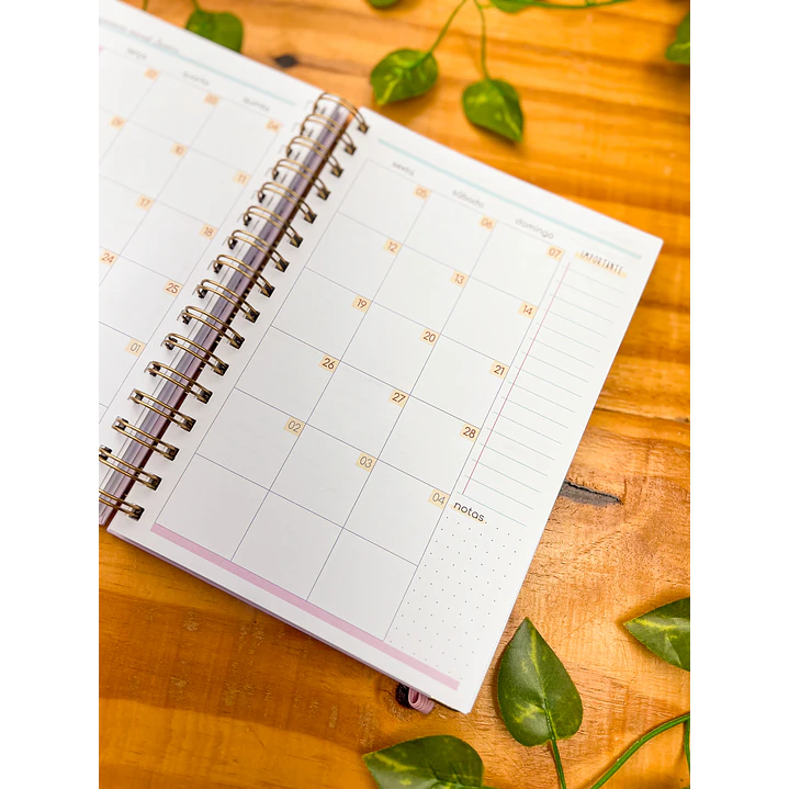 Arquivos Agenda Planner Professor + Agenda 02 Dias 3