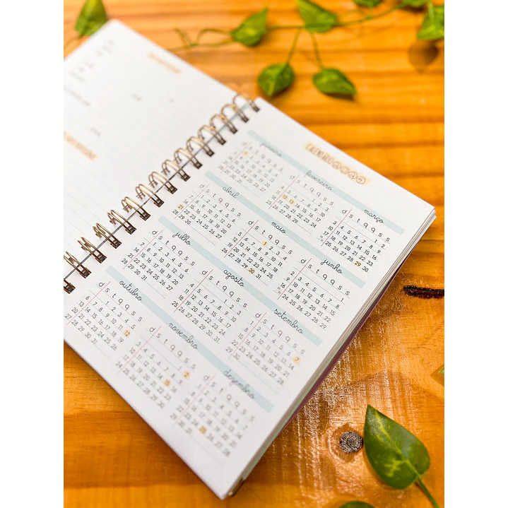 Arquivos Agenda Planner Professor + Agenda 02 Dias 5