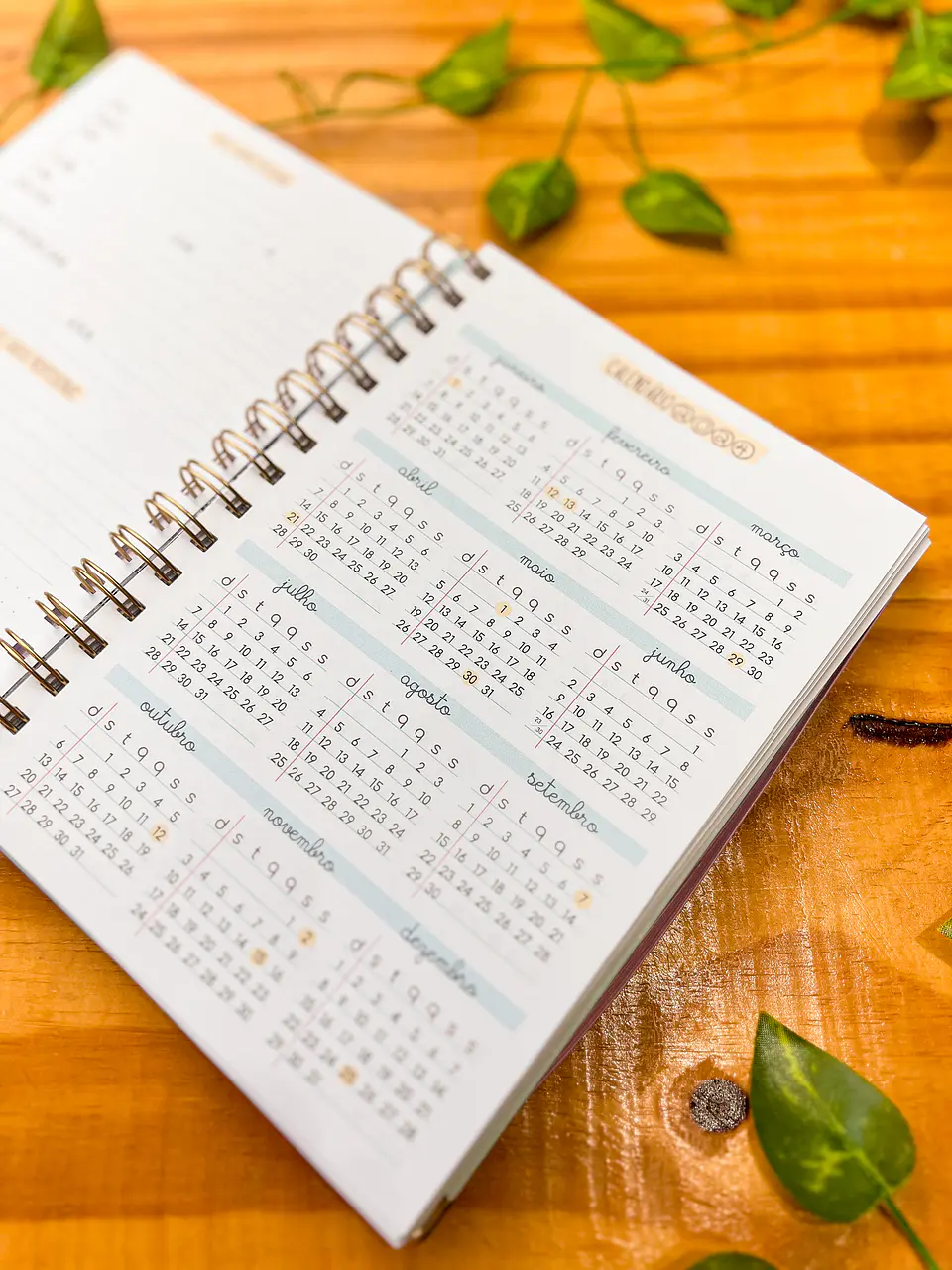 Arquivos Agenda Planner Professor + Agenda 02 Dias 5