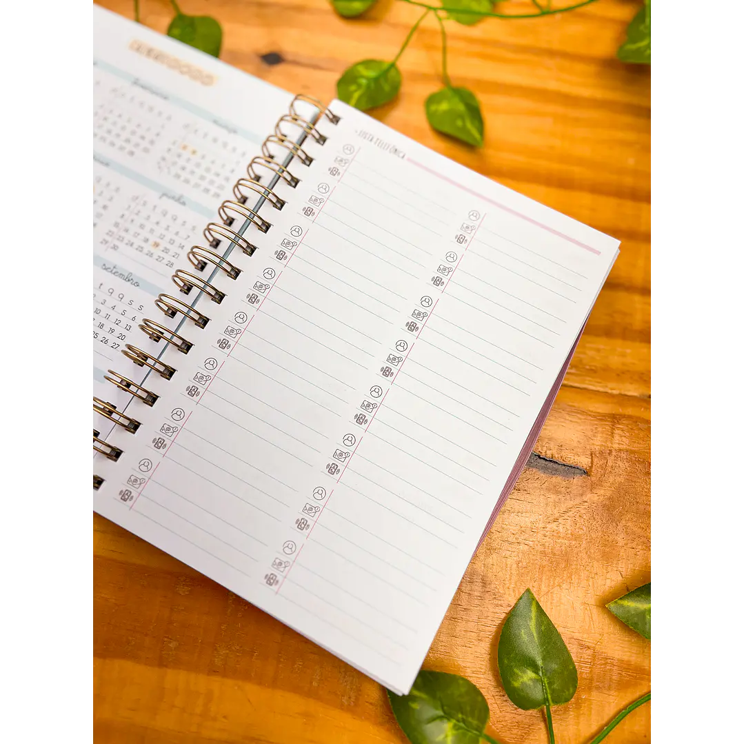 Arquivos Agenda Planner Professor + Agenda 02 Dias 6