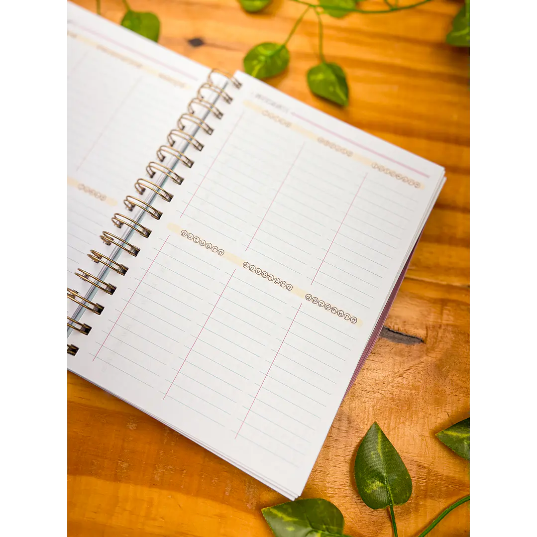 Arquivos Agenda Planner Professor + Agenda 02 Dias 7
