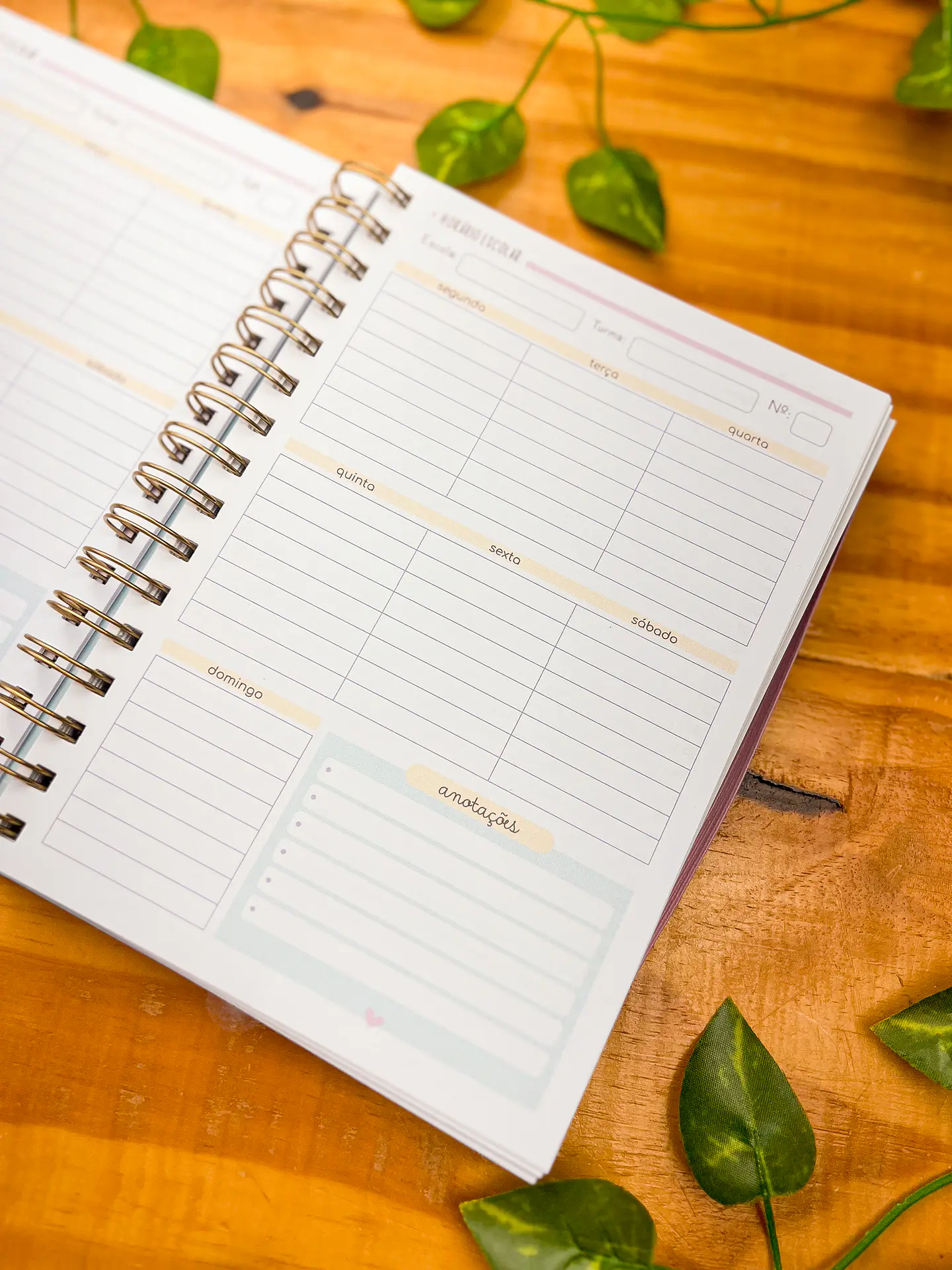 Arquivos Agenda Planner Professor + Agenda 02 Dias 8