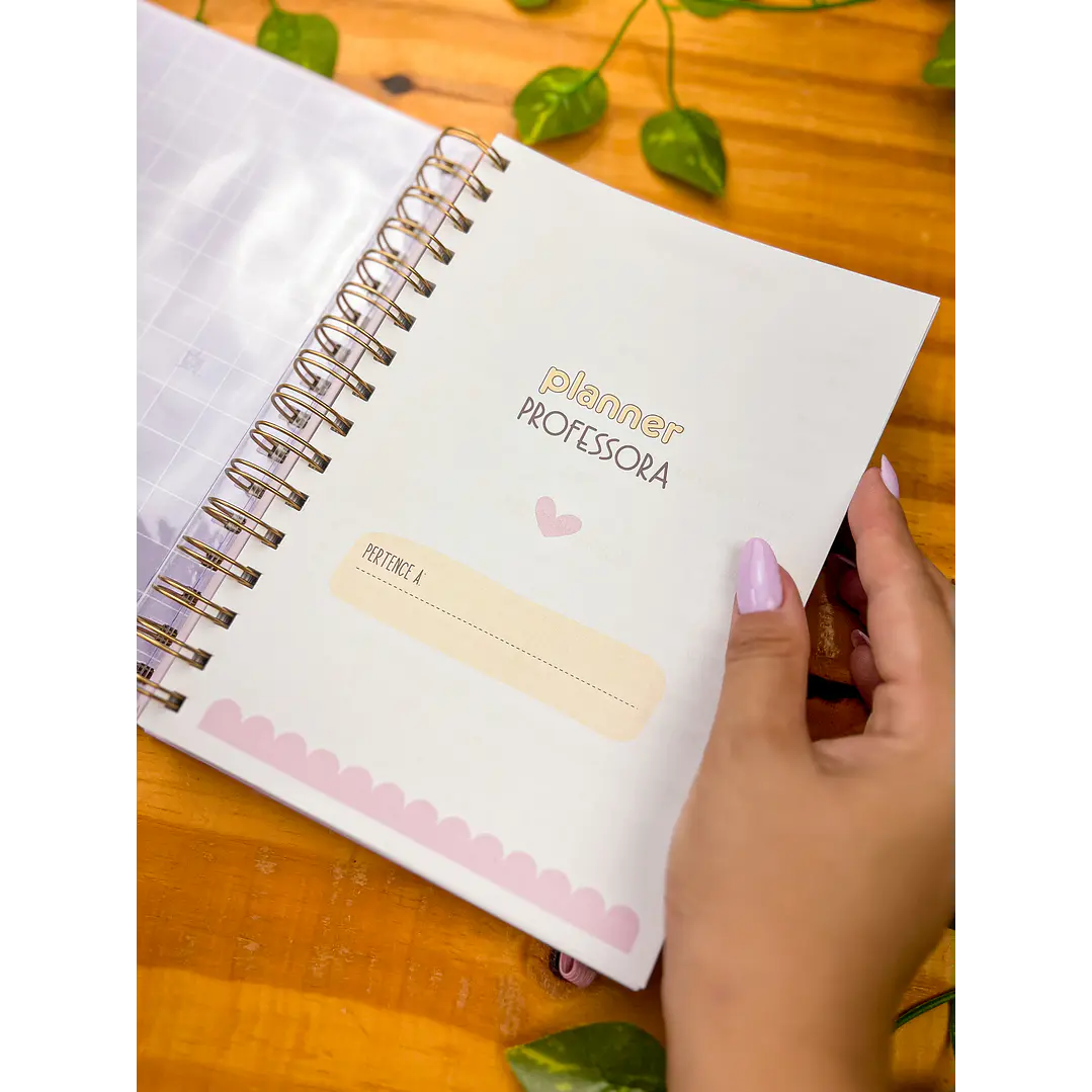 Arquivos Agenda Planner Professor + Agenda 02 Dias 13