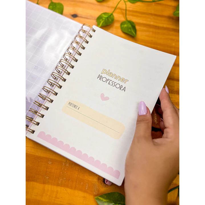 Arquivos Agenda Planner Professor + Agenda 02 Dias 13