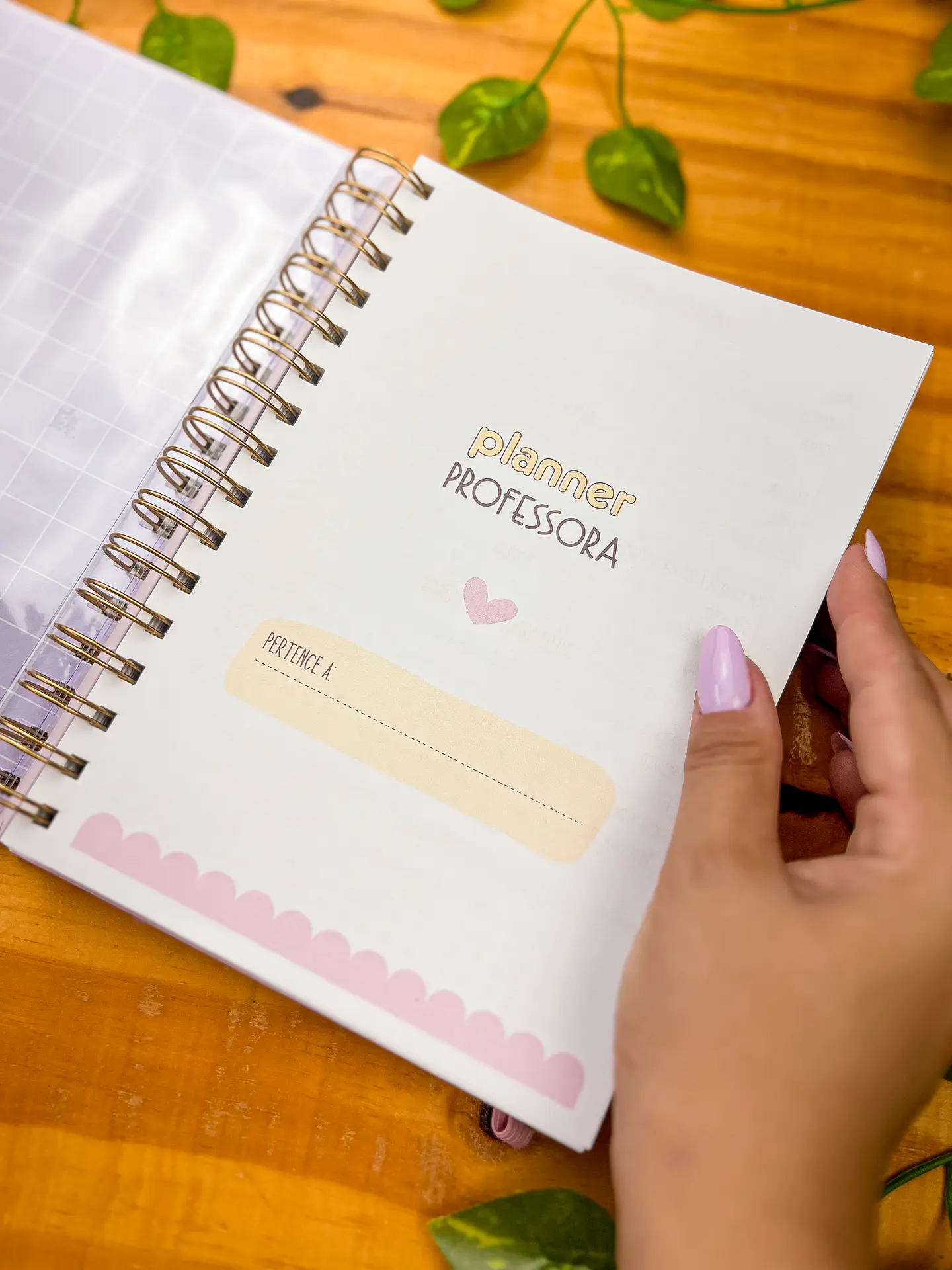 Arquivos Agenda Planner Professor + Agenda 02 Dias 13