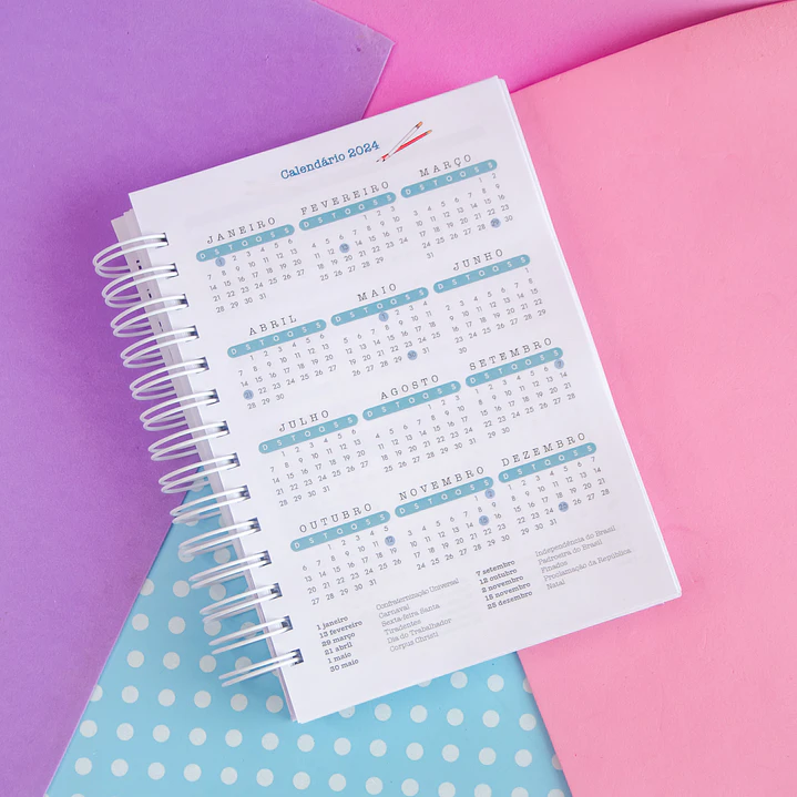 Arquivos Agenda Planner Professor 2024 em Pdf 6