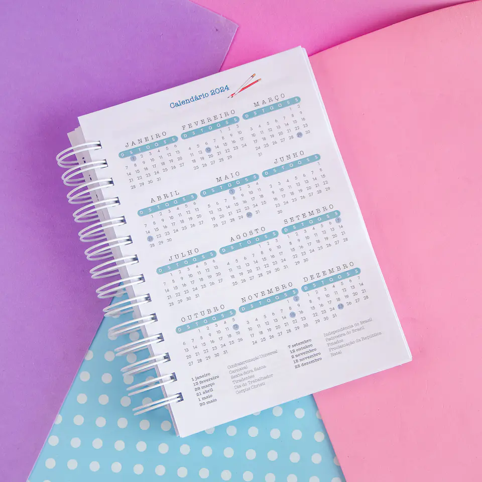 Arquivos Agenda Planner Professor 2024 em Pdf 6