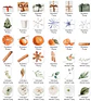 Kit Digital Natal Animais e Outros Arquivos em Png - Miniatura 8