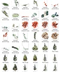 Kit Digital Natal Animais e Outros Arquivos em Png - Miniatura 6