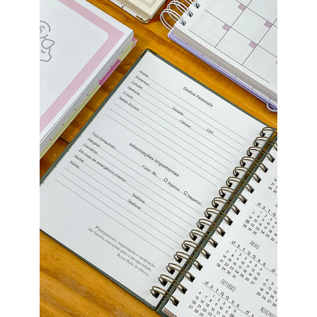 Arquivo Agenda e Planners 2024 Completo em Pdf   8