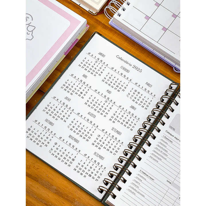 Arquivo Agenda e Planners 2024 Completo em Pdf   9