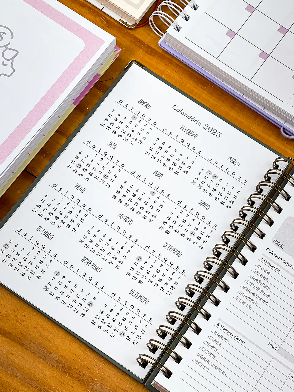 Arquivo Agenda e Planners 2024 Completo em Pdf   9