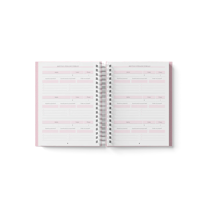 Arquivo Planner Financeiro 2024 em Pdf 4