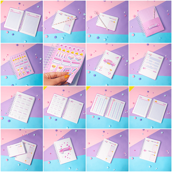 Arquivo Agenda Escolar 2024 Rosa e Azul em Pdf 7