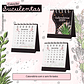 Arquivo Agenda Suculentas 2024 em Pdf - Thumbnail 13
