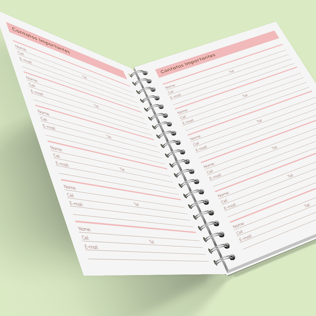 Arquivo Caderno de Controle Doméstico em Pdf  4