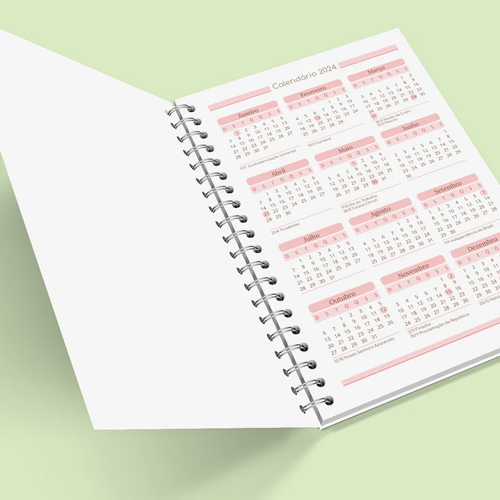 Arquivo Caderno de Controle Doméstico em Pdf  9