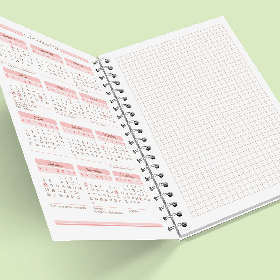 Arquivo Caderno de Controle Doméstico em Pdf  10